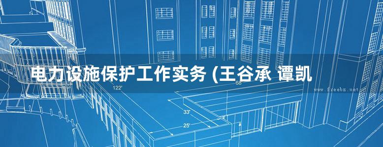 电力设施保护工作实务 (王谷承 谭凯著)